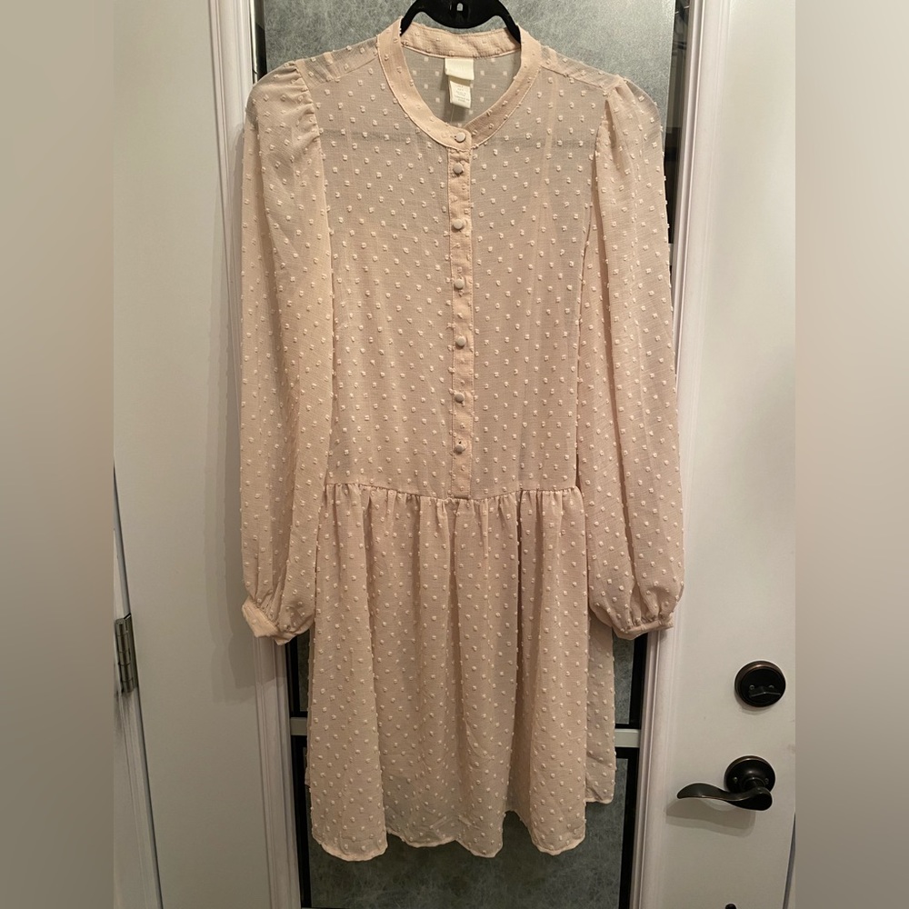 NWOT Sheer H&M size S dress